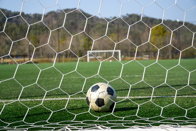 一步提升自 一步提升自