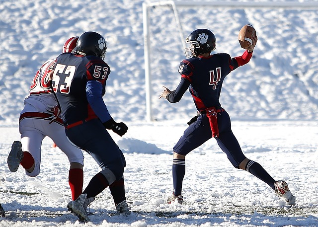 统治地位 统治地位
