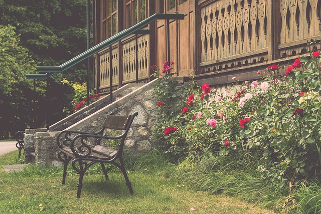 国球员的能 国球员的能