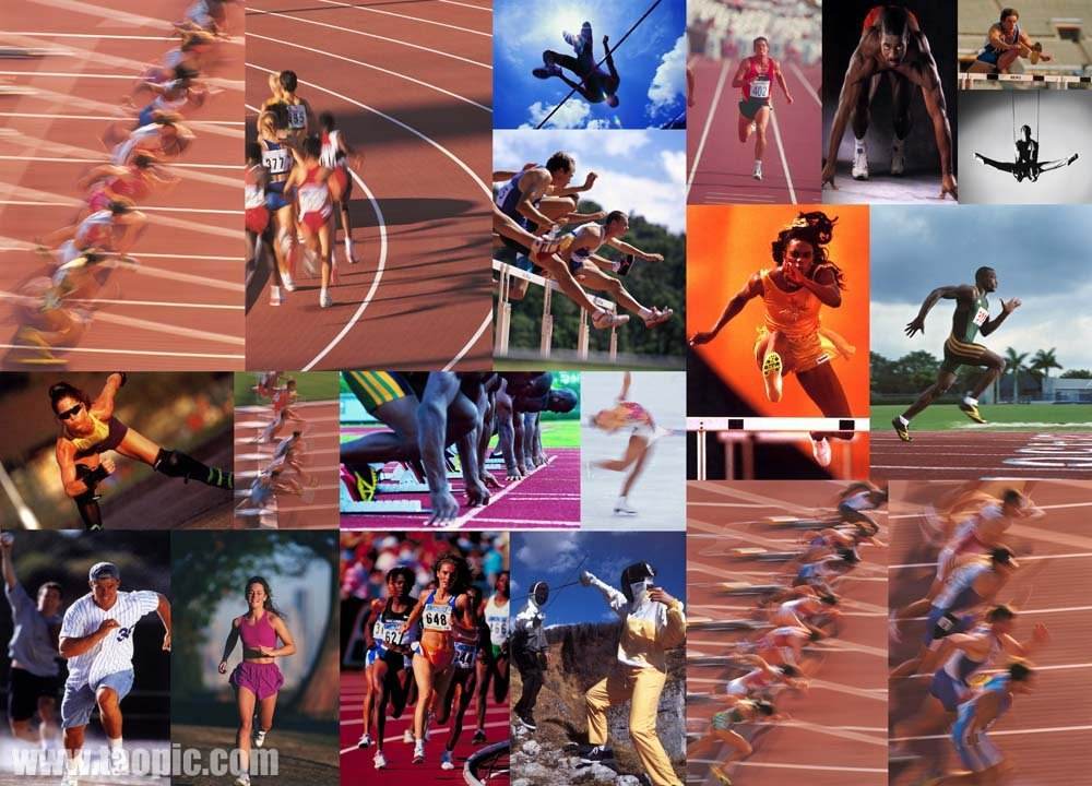 划和合理调 划和合理调