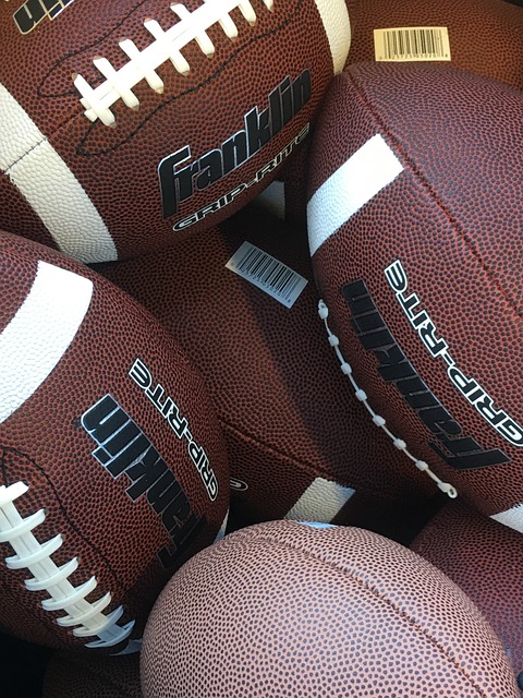 过去大马羽 过去大马羽